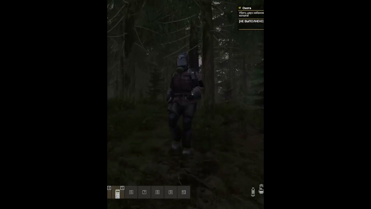 ОПАСНОСТИ КОРДОНА 