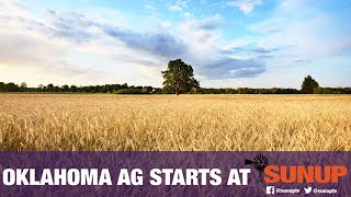 Do different wheat varieties taste the same? (12/01/18)