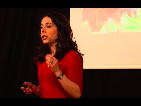 How to be engaged and happy at work | Ali Lada-Gola | TEDxSGH