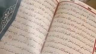 Mevlidi Şerif Kısa Versiyon Whatsapp Durumu Yap