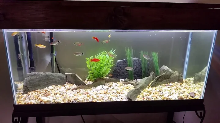 Cleaned up 30 gal tank