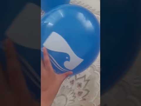 pendik belediyesine bak