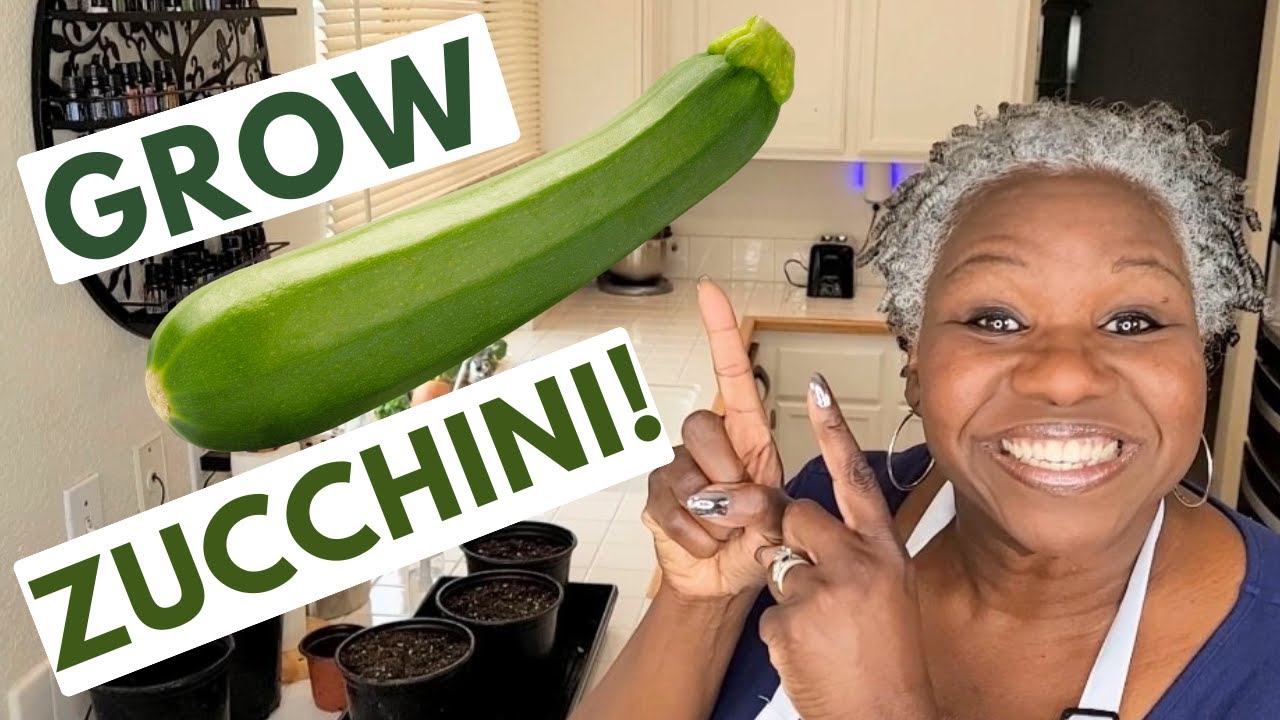 "How to Grow Zucchini...This Method Will Shock You!" YouTube