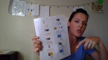 Classical Conversations Cycle 1 Week 3 Memory Work, Art and Review