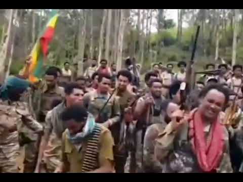 ODuu Atatama FaanoonAmaara Hardha BaharDari Hanga Finfineetti Humna Guddaa Share Godha Nu Hordofa