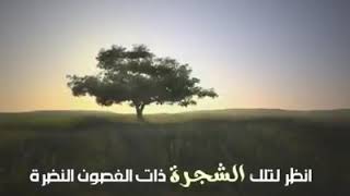 القارىء احمد النفيس فى انشودة راءعة