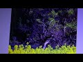 00190 ガス燈  竜鉄也さんの歌