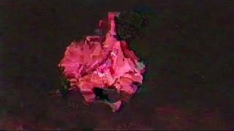 Hi-c - No Emotionzzz (Official Video)