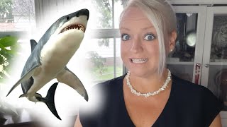 The Spiritual (Symbolic) Meaning of a Shark | Animal Symbols & Omens