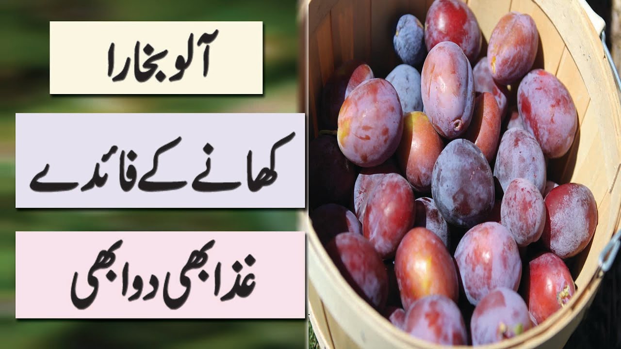 Aloo Bukhara Ke Fayde Benefits Of Plum Fruit in Urdu YouTube
