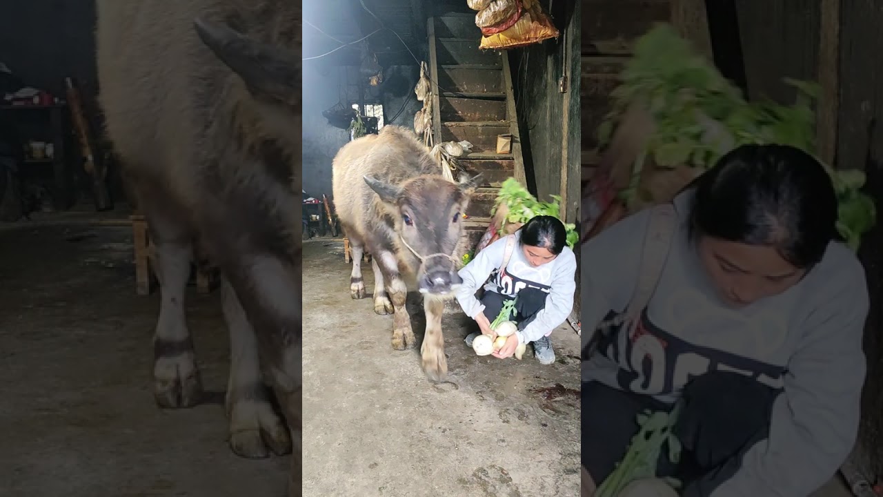 Я несколько дней не работал, а "Ковбои" хотят мне помочь 