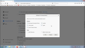 Firefox: how to clear browsing history automatically in Firefox