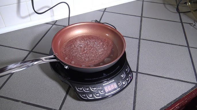 Product Review: NuWave Induction Cooktop & Cookset — Live Small