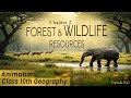 Forest and Wildlife Resources | Full Explanation | Class 10th |  Geography | Animation | Revision |