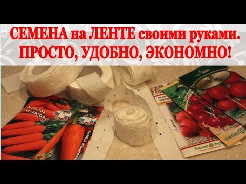 СЕМЕНА НА ЛЕНТЕ своими руками! Удобно и экономно! ПОЛЕЗНЫЕ СОВЕТЫ