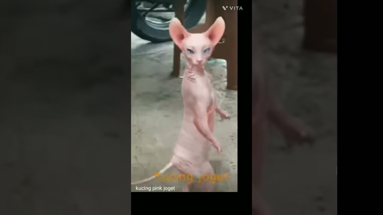 Ka Kk Kkk Kj