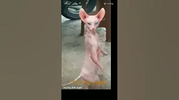 Ka Kk Kkk Kk Kj Kk 