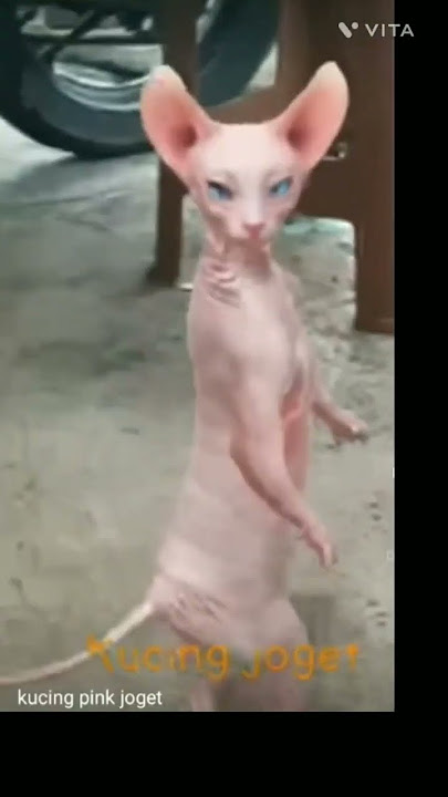 ka kk kkk kk kj kk