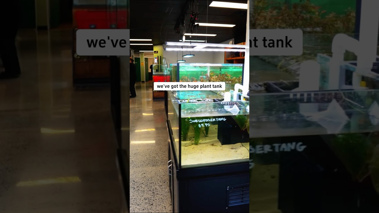 Как мы поддерживаем систему растений в полном порядке!!! 😎😎 