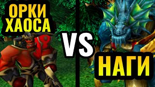 РАСЫ КАМПАНИИ: Орки Хаоса и Наги сражаются друг с другом в Warcraft 3 Reforged