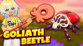 Heartopia | LEVEL: 12 - Goliath Beetle Location, Time & Weather Guide #heartopia #howto