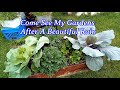 Come See My Gardens After A Beautiful Rain