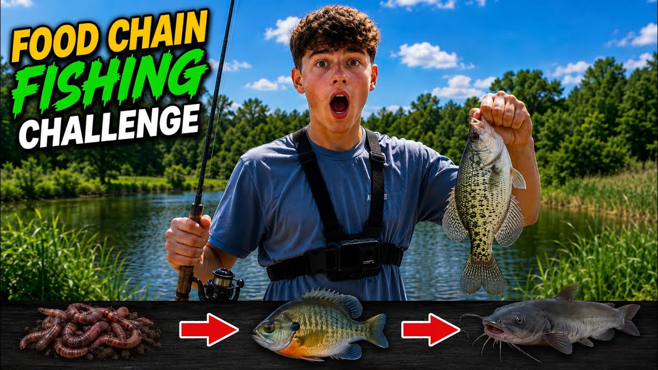 Food Chain Fishing Challenge