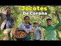 Conozca Esta Delicia De San Martín Jilotepeque