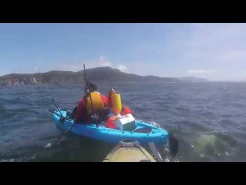 100 Pound Halibut Assist