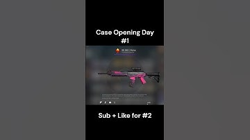 Opening a Case Until I Get a Knife Day #1