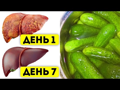Я начинал день