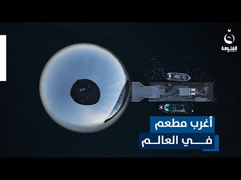 ما رأيكم بتناول العشاء داخل عين سمكة عملاقة ! تعرفوا على أغرب مطعم في العالم