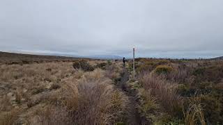 E48 Tramping 100 Days 3000Km Through New Zealand Mangatepopo Hut To National Park Village