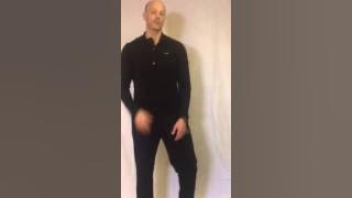 Basic Squat, Lunge, and Push-up