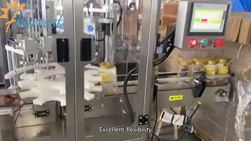 Double head servo screw capping machine with cap feeder