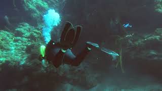 Cozumel - Palancar Caves - Scuba Dive April 2024