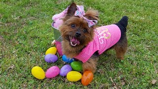 Sophia Hunting Easter Eggs