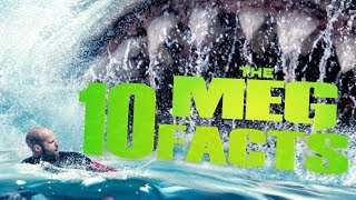 Мег: Монстр глубины 10 МЕГА ФАКТОВ о фильме | Movie Mouse Мег: Монстр глубины 10 МЕГА ФАКТОВ о фильме | Movie Mouse
