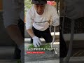 みんなお昼ご飯は何?山にいるとすべて現地調達 #狩猟 #猟虫 #キャンプ飯