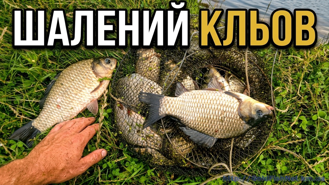 Ловля великого карася