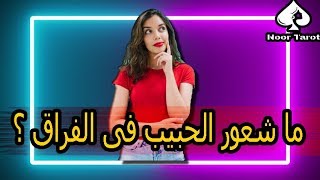 اختار كارت 📩 ماذا يشعر الحبيب فى الفراق؟ وماذا ينوى؟