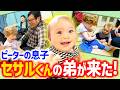 ピーター博士の息子・セサルくんと1年ぶりの再会!弟のアルゴくんも一緒だよ!!【癒し】