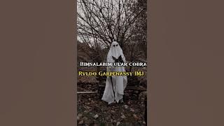 IMJ Rvldo Garpenassy ‼️ Wayase - ULAR COBRA - ( ALVENIM SOUND )✅