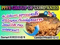 ఈ విధంగా కోడిపిల్లలు గుంపులుగా కారణాలు!!The reasons why chicks are joining groups in this way!!