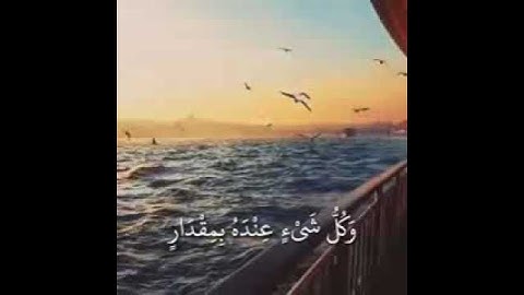 رعد الكردي قرآن كريم || الله يعلم ما تحمل كل انثى