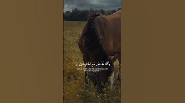 اكتب شيء تؤجر عليه ❤️  #قرآن #تلاوة_خاشعة #شريف_مصطفى #اكسبلور