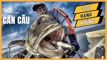 Truy Tìm Thuỷ Quái GT Đại Dương - Cần Câu Biển Mà Cần Thủ Này Dùng ?