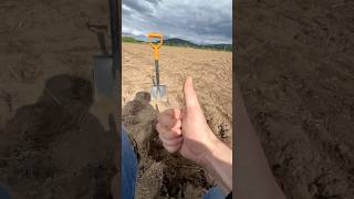 Поиск клада! #золото #metaldetecting #shortvideo #коп #поиск #metaldetector #клад #монеты #coin #топ