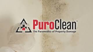 Water, Fire, and Biohazard Cleanup in Jacksonville FL - PuroClean Emergency Services