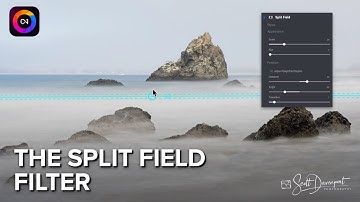Het Split Field Filter - ON1 Photo RAW 2026
